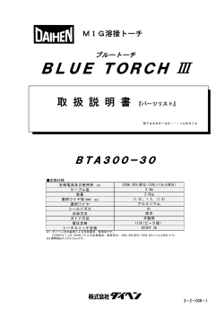 BLUE TORCH Ⅲ