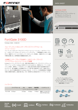 FortiGate 3100D