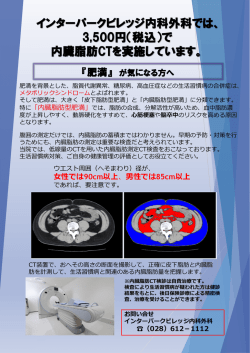 内臓脂肪CT【自費：3500円】