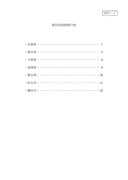 資料3-3 教員育成指標の例 （PDF:4662KB）