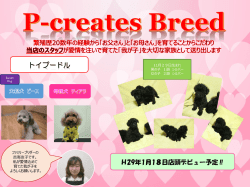 自社繫殖のわんちゃん情報3