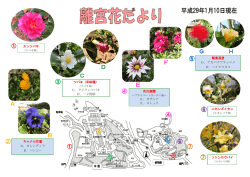 花の庭園 E．ガザニア F．ストック 観賞温室 G．アカバナブラッマメ H