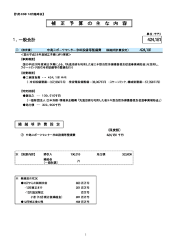 補 正 予 算 の 主 な 内 容