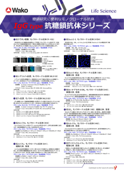 IgG type 抗糖鎖抗体シリーズ