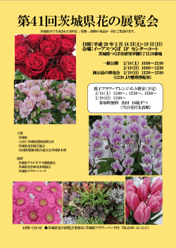 第41回茨城県花の展覧会チラシ