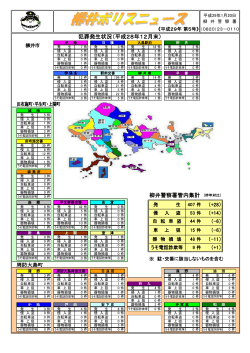 柳井警察署管内集計 （昨年対比） 犯罪発生状況（平成28年12月末）
