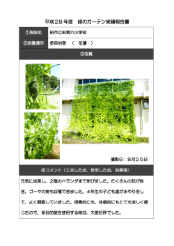 平成28 年度 緑のカーテン実績報告書