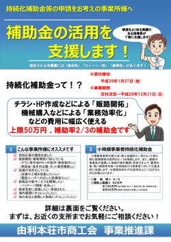H28補正持続化_チラシ