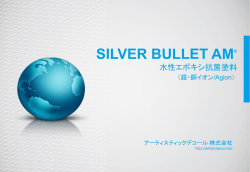Silver Bullet 概要書