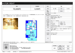 資料PDF - luz