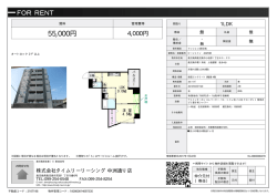 資料PDF - タイムリーリーシング