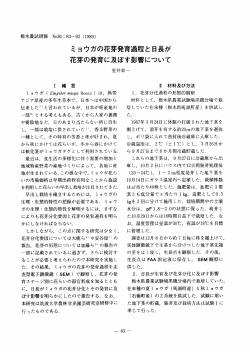 ミョウガの花芽発育過程と日長が 花芽の発育に及ぼす影響について