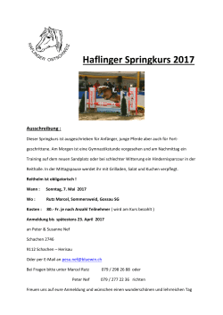 Haflinger Springkurs 2017