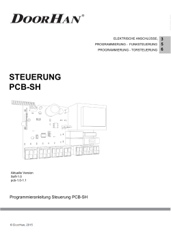 Steuerung Shaft PCB-SH - ivb