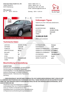 Volkswagen Tiguan 18.880,00 EUR Technische Daten