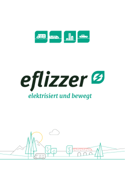 eflizzer 1-2-3