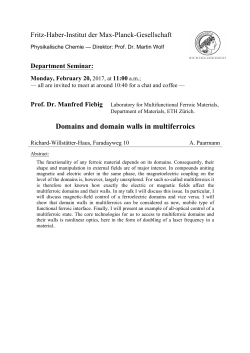 Domains and domain walls in multiferroics - Fritz-Haber