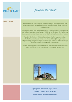 Gro&szlig;er Knollen - Panoramic Hotel Harz