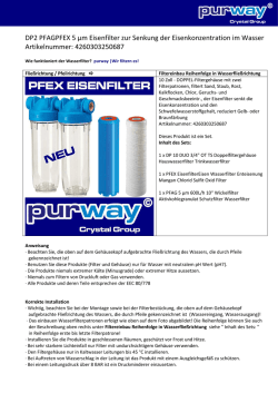 DP2 PFAGPFEX 5 &micro;m Eisenfilter zur Senkung der