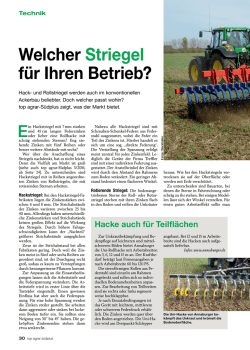Diesen Beitrag als PDF herunterladen