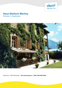 Haus Wellisch Martiny in Seeboden