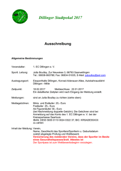 Dillinger Stadtpokal 2017