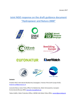 Joint NGO response on the draft guidance