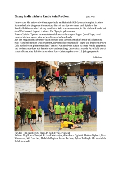 Hanball2017 2 - Heinrich-B&ouml;ll