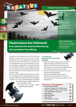 DkK-0104004-Fledermäuse bei Vollmond-Vorschau