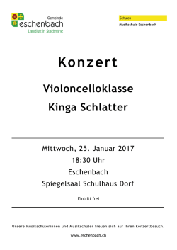 Musikschule Zürcher Oberland