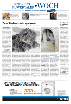 als PDF