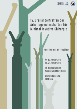 Hauptprogramm MIC 2017