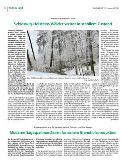 Schleswig-Holsteins Wälder weiter in stabilem Zustand Moderne