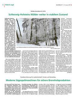 Schleswig-Holsteins Wälder weiter in stabilem Zustand Moderne