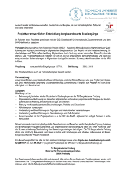 Projektverantwortlichen Entwicklung