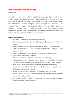Detailbeschreibung im PDF-Format
