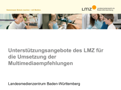 Unterstützungsangebote des LMZ für die Umsetzung der