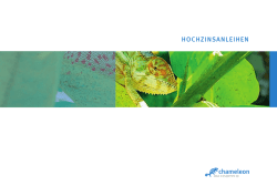 Präsentation Hochzinsanleihen