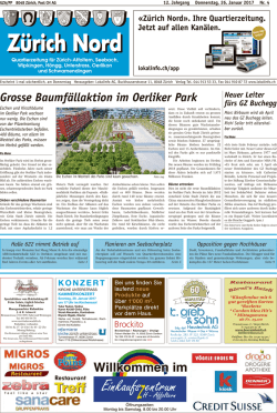 Grosse Baumfällaktion im Oerliker Park