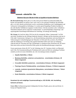 humaneando &ndash; solidaridad Chile &ndash; Cuba