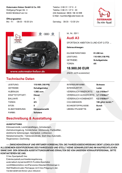 Audi A3 18.980,00 EUR Technische Daten