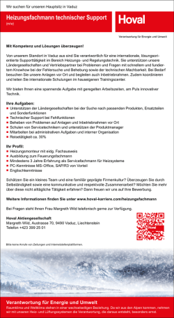 Heizungsfachmann technischer Support