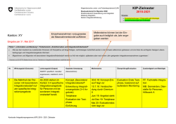 Eingabe KIP 2018-2021: Beispiel Zielraster