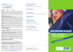 Einf&uuml;hrung in BaSiK