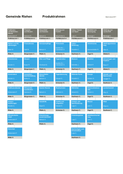 Gemeinde Riehen Produktrahmen