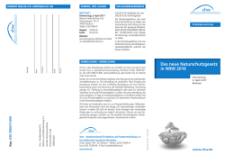 Programm-Download