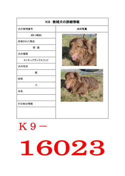 K9-16023（PDF：218KB）