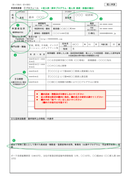 Page 1 （第 1 号様式・第9関係） 個人申請 申請者調書 ①プロフィール