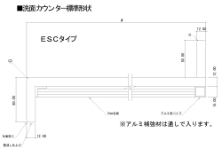 洗面カウンタ－標準形状 ESCタイプ