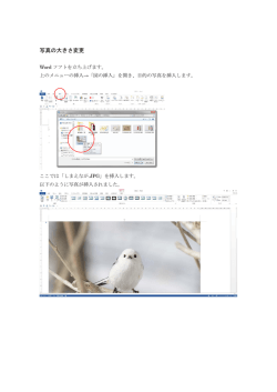 写真の大きさ変更